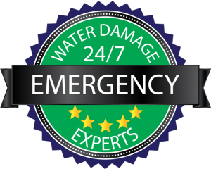 Water Damage Experts, 24/7 Emergency Seal