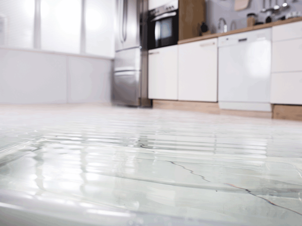 Dishwasher Leaks & Water Damage Water Extraction Experts