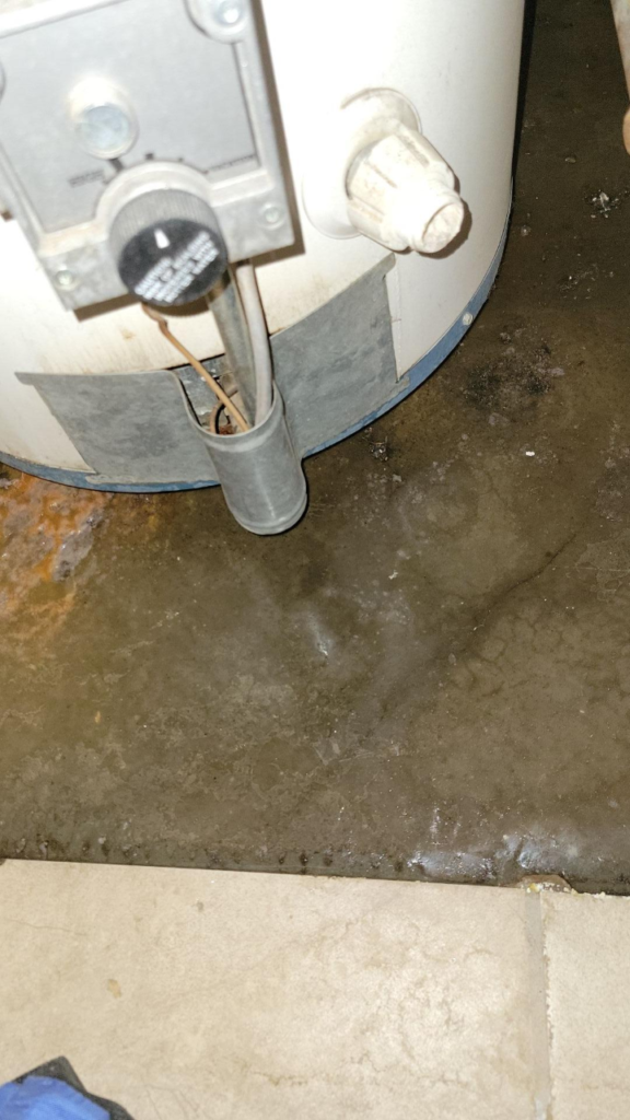 Water Heater Leak 2 (1)