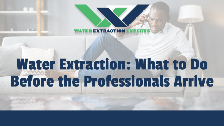 Water Extraction: What to Do Before the Professionals Arrive