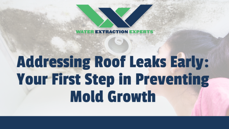 Addressing Roof Leaks Early: Your First Step in Preventing Mold Growth