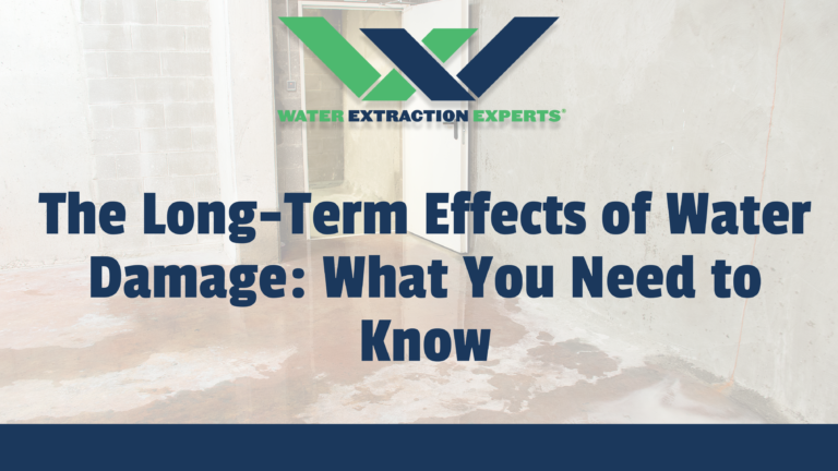 The Long-Term Effects of Water Damage: What You Need to Know Guide