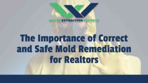 The Importance of Correct and Safe Mold Remediation for Realtors