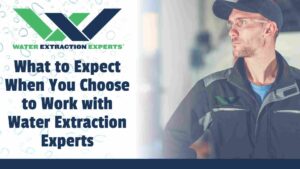 What to Expect When You Choose to Work with Water Extraction Experts