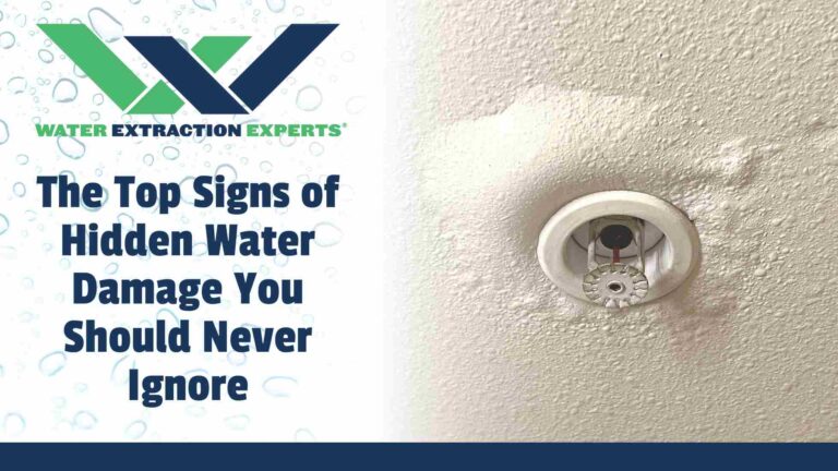 The Top Signs Of Hidden Water Damage You Should Never Ignore