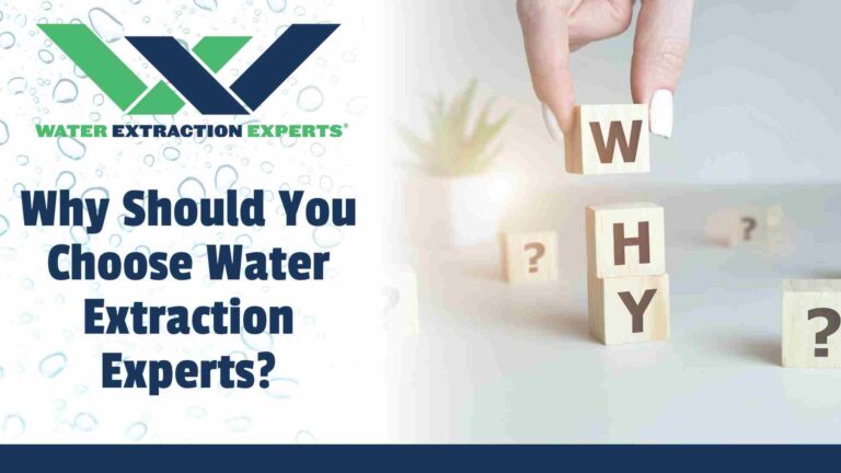 Why You Should Choose Water Extraction Experts Over Any Other Company