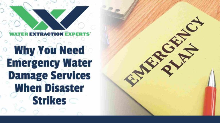 Why You Need Emergency Water Damage Services When Disaster Strikes